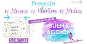 Lee más sobre el artículo Proyecto 12 meses, 12 hábitos, 12 metas.