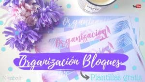 Organizacion por bloques