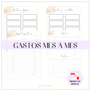 Hoja control Gastos e Ingresos mensual palmeras [DIGITAL]